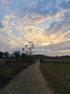 我能看见惊悚提示