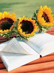 豪门总裁前夫缠上门