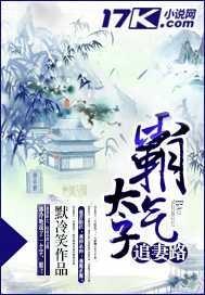 霸气太子追妻路免费读