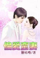 偏爱她全文免费阅读